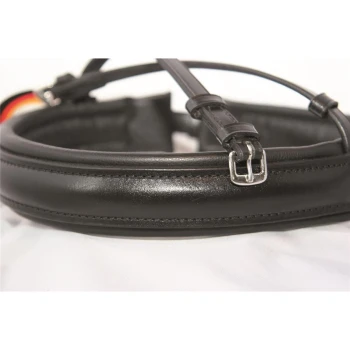 Nahaufnahme eines schwarzen Leder-Hundehalsbands mit einer silbernen Schnalle, das seine glatte Textur und Nähdetails zeigt.