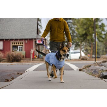 Ruffwear Hemp Hound Sweater violett XXS FRESSNAPF