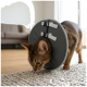 Braune Katze mit grauem weichem Schutzkragen schnüffelt an einem Teppich in einem Wohnzimmer.