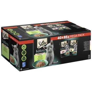 Mega-pakiet Sheba Kitten z szarym kociakiem obok miski z mokrą karmą dla kotów, z opakowaniem wyświetlającym "40 x 85g MEGA-PAK" oraz szczegółami produktu.