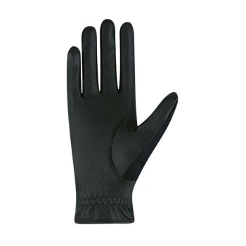 Schwarze Haustierpflegehandschuhe mit strukturierter Oberfläche und Daumenöffnung, entworfen für einfache Handhabung und Komfort.