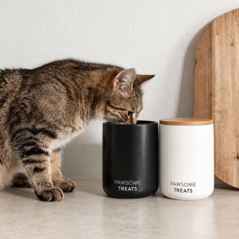 Eine flauschige hellgraue Katze geht an einem weißen Leckerli-Behälter mit der Aufschrift "PAWSOME TREATS" und einem Holzdeckel mit deutschem Text vorbei.