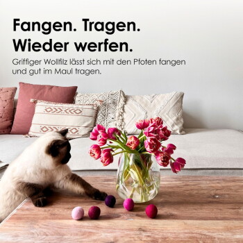 Eine dreifarbige Katze kuschelt friedlich mit einem weichen, pfirsichfarbenen Filzball, wobei der Text "Natürliches Material" und "Katzen lieben Wollfilz" sichtbar ist.