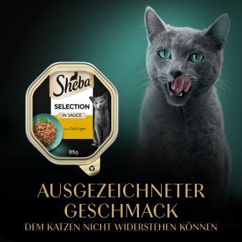 Sheba Selection 85g Schale neben grauer Katzensilhouette; sichtbarer Text 'AUSGEZEICHNETER GESCHMACK'