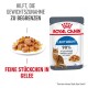 Royal Canin Light Weight Katzenfutterbeutel mit einem Teller Nassfutter, mit Text über Gewichtsmanagement und einer Katzenillustration.