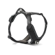 Verstellbares gepolstertes schwarzes Hundegeschirr mit reflektierendem Besatz, Metall-D-Ring und Schnellverschluss-Schnallen.
