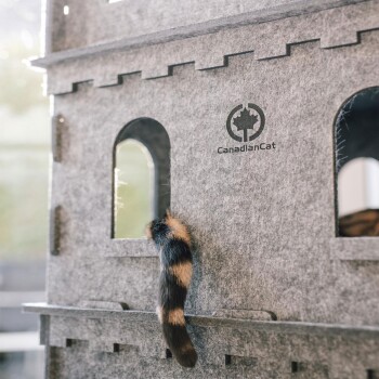Eine Nahaufnahme eines grauen Filz-Katzenkastens mit einem sichtbaren Katzenschwanz, der aus einem Fenster schaut, mit dem Logo "CanadianCat."