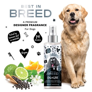 Hundekologensprayflasche mit Zitrus-, Pfeffer- und Blumenextrakten, gekennzeichnet als vegan und pH-neutral, neben einem Golden Retriever.
