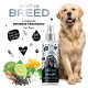 Hundekologensprayflasche mit Zitrus-, Pfeffer- und Blumenextrakten, gekennzeichnet als vegan und pH-neutral, neben einem Golden Retriever.