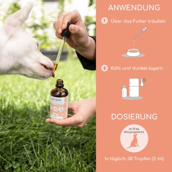 Lachsöl 100 ml