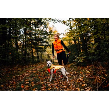 Eine Person in einem orange-schwarzen Outfit steht auf einem blattbedeckten Weg im Wald und hält eine Leine, die an einem Hund mit einer passenden orangefarbenen Weste befestigt ist.