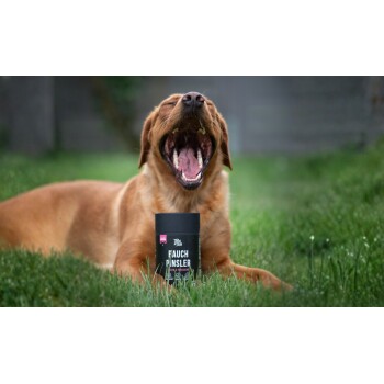 Gähnender brauner Hund im Gras mit einem schwarzen Haustierbehälter davor, beschriftet mit „PAUCH PÄNSLER“.