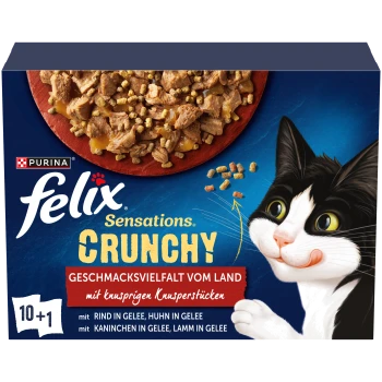 Purina Felix Sensations Crunchy Katzenfutterbox mit Fleischstückchen und knusprigen Stücken, zeigt eine schwarz-weiße Katze, die sich die Lippen leckt.