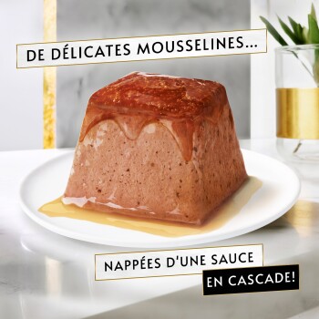 Mousseline pour animaux sur assiette avec sauce en cascade ; texte visible : «DE DÉLICATES MOUSSELINES... NAPPÉES D'UNE SAUCE EN CASCADE!».