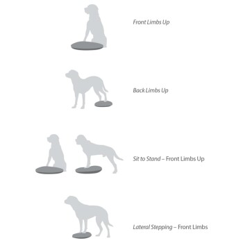 Illustration, die vier Hundetrainingsübungen zeigt: Vorderbeine hoch, Hinterbeine hoch, Sitzen zu Stehen und seitliches Gehen, mit entsprechenden Silhouetten.