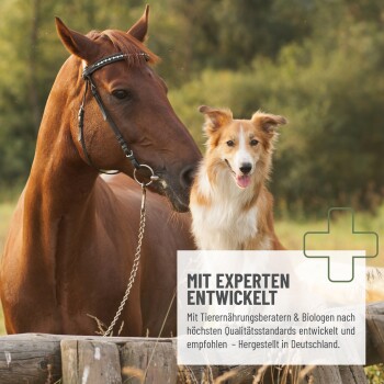 MSM Pulver für Hunde und Pferde, 500g, mit einem Bild eines Hundes. Enthält Methylsulfonylmethan zur Unterstützung der Gelenkfunktion.