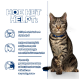 Een tabby kat met een blauwe halsband zit naast tekst over de voordelen van gewichtsverlies voor huisdieren, inclusief statistieken over energie en portiecontrole.