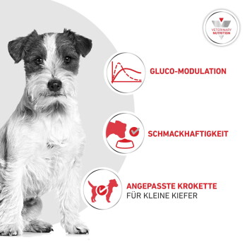 Kleiner Terrier mit Symbolen: GLUCO‑MODULATION, SCHMACKHAFTIGKEIT, ANGEPAßTE KROKETTE FÜR KLEINE KIEFER; Vet-Nutrition-Logo.