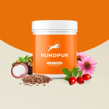 Oranger Behälter mit dem HundPur Aller-Immun Ergänzungsmittel für Hunde, umgeben von Zutaten wie Mangosteen, Leinsamen, Hagebutten und Echinacea-Blüten.