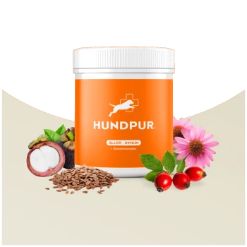 Oranger Behälter mit dem HundPur Aller-Immun Ergänzungsmittel für Hunde, umgeben von Zutaten wie Mangosteen, Leinsamen, Hagebutten und Echinacea-Blüten.