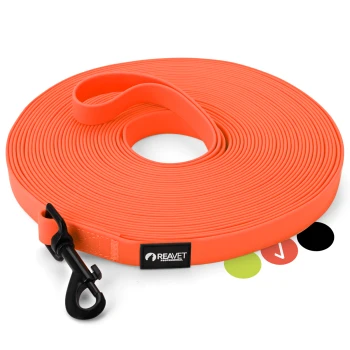 Helle orangefarbene Hundeleine, ordentlich aufgerollt, mit einem schwarzen Clip und einem Etikett mit "REAVET"-Markierung.