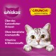 Nahaufnahme einer grauen getigerten Katze auf einem lila Hintergrund, die Whiskas Katzenfutter-Topping mit Text über Knusprigkeit und Vitamine bewirbt.