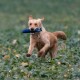 Golden Retriever läuft durch grüne Pflanzen und trägt ein blaues Spielzeug im Maul.