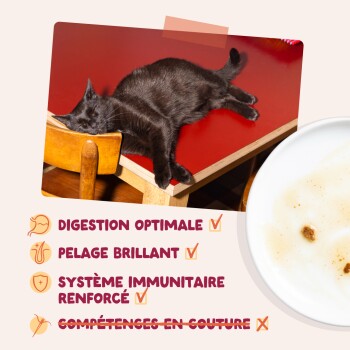 Chat noir endormi sur une table rouge ; texte français : Digestion optimale, Pelage brillant ; « Compétences en couture » barré.