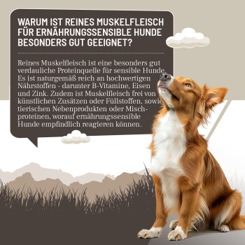 Ein goldbrauner Hund sitzt auf Gras mit einer Sprechblase über die Vorteile von reinem Muskelfleisch für empfindliche Hunde.