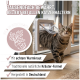Getigerte Katze in einer Katzenklappe an einer Tür; deutscher Text „Tausendfach bewährt, beliebt bei Katzenhaltern“; Siegel „Mild im Geschmack“.