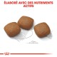 Trois morceaux de croquettes pour animaux de compagnie bruns sur un fond blanc, avec le texte "ÉLABORÉ AVEC DES NUTRIMENTS ACTIFS" au-dessus.