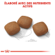 Trois morceaux de croquettes pour animaux de compagnie bruns sur un fond blanc, avec le texte "ÉLABORÉ AVEC DES NUTRIMENTS ACTIFS" au-dessus.