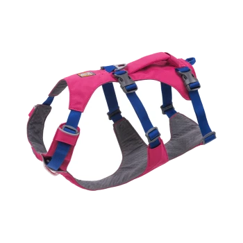 Ein pinkes Haustiergeschirr mit blauen Riemen und grauer Polsterung, mit verstellbaren Schnallen für einen sicheren Sitz.