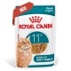 Royal Canin Katzenfutterbeutel für Seniorenkatzen über 11 Jahre, Stücke in Soße, mit Bild einer orange getigerten Katze.