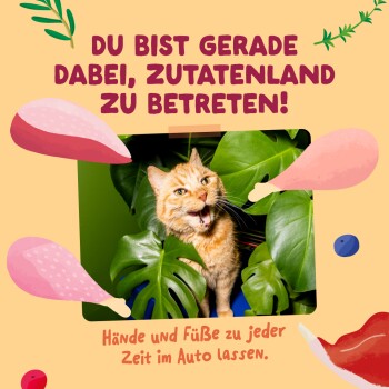 Oranger getigerter Kater lugt durch Monstera-Blätter zwischen illustriertem Fleisch; deutscher Text über das Betreten von 'Zutatenland'