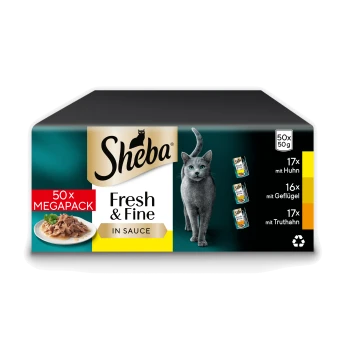 Sheba Fresh & Fine in Sauce 50× MEGAPACK-Box mit grauer Katze, einem Teller mit Nassfutter und drei Folienbeuteln.