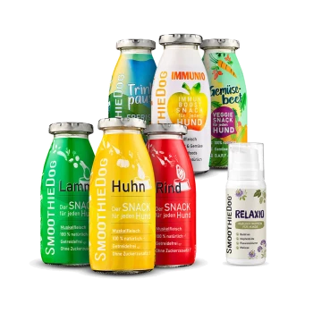 Sechs bunte SMOOTHIEDOG-Hundesnacks in Flaschen (Lamm, Huhn, Rind, Immunio, Veggie) und eine weiße RELAXIO-Pumpflasche.