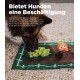 Ein Hund spielt auf einer bunten Matte mit grünen Blättern und einem braunen Erdpatch, fördert geistige Stimulation und reduziert destruktives Verhalten.