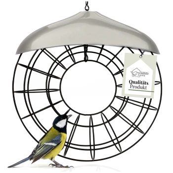Ein bunter Kohlmeise steht neben einem runden schwarzen Vogelhaus mit einem glänzenden silbernen Dach, beschriftet mit 'Qualitäts Produkt' von Wildlife Home.