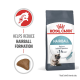 Royal Canin Hairball cat food bag, featuring a cat graphic, claims to reduce hairball formation in 14 days, with a kibble piece shown.