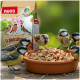 Kleine Vögel, die Erdnüsse aus einer braunen Schale fressen, im Hintergrund eine PANTO Premium Erdnussbruch Vogelfuttermitteltüte.