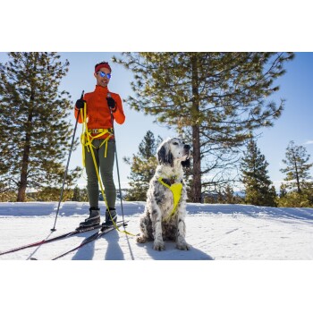 Eine Person in einer orangefarbenen Jacke und grünen Hosen steht im Schnee mit Skistöcken neben einem sitzenden Hund in einem gelben Geschirr, mit Kiefern im Hintergrund.