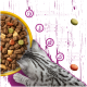Getigerte Katze frisst Trockenfutter aus gelbem Napf vor magentafarbenem Hintergrund. Text: Immunsystem, Haut & Fell, Harnwege, Verdauung