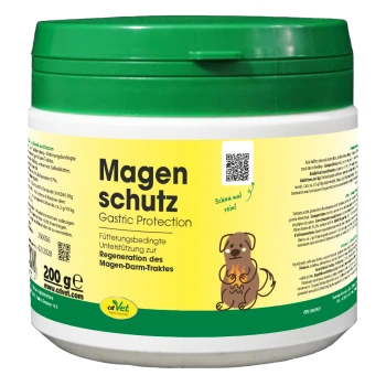 Behälter von cdVet Magenschutz (Magen-Schutz) für Haustiere, 200g, mit einem grünen Deckel und einem Etikett mit deutschem und englischem Text.