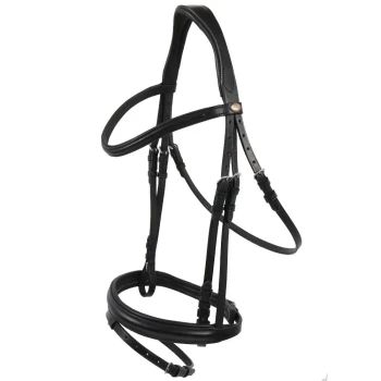 Schwarzes Leder-Haargeschirr für Haustiere, präsentiert vor einem weißen Hintergrund, mit verstellbaren Riemen und einer Metallschnalle.