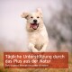 Ein Golden Retriever läuft im Freien mit einem deutschen Textüberlagerung: "Tägliche Unterstützung durch das Plus aus der Natur."