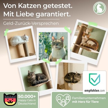 Collage mit 5 Katzen auf Kratzbäumen, deutscher Überschrift 'Von Katzen getestet. Mit Liebe garantiert.' und Abzeichen '50k+ Happy Cats'.