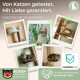 Collage mit 5 Katzen auf Kratzbäumen, deutscher Überschrift 'Von Katzen getestet. Mit Liebe garantiert.' und Abzeichen '50k+ Happy Cats'.