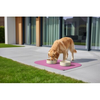 Golden Retriever frisst aus einer beigen Schale auf einer lila Matte vor einem modernen Haus mit Glastüren.