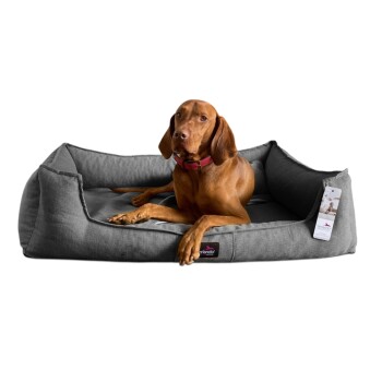 Brauner Hund mit rotem Halsband liegt auf einem grauen tierlando Tierbett mit einem Produktanhänger vor schwarzem Hintergrund.